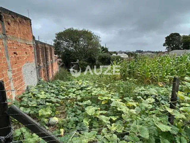 Terreno à venda, no bairro Roseira de São Sebastião em São José Dos Pinhais
