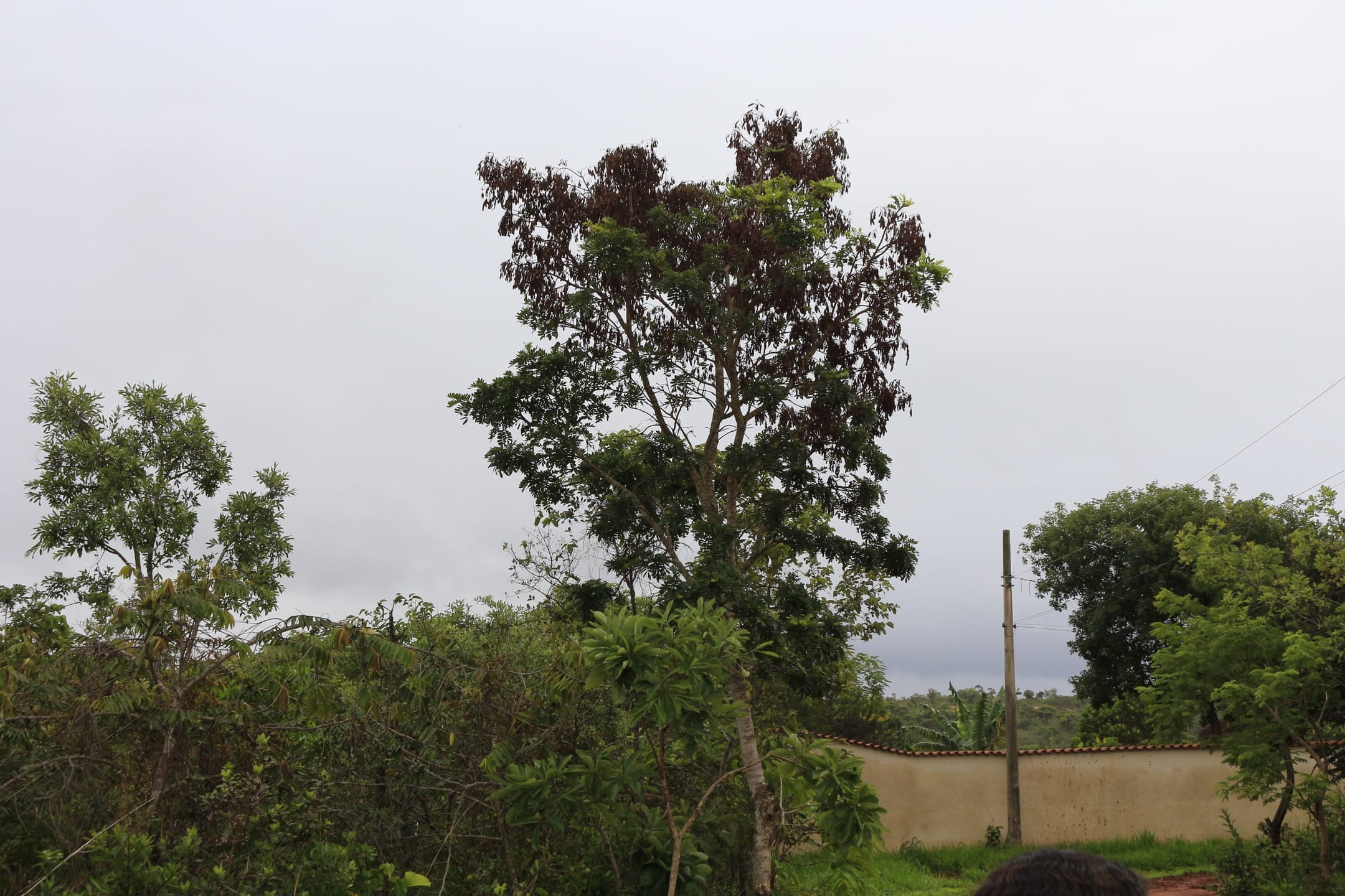 Terreno com 1088 M², Condomínio Canto da Siriema, à venda, Estâncias da Mata, Jaboticatubas, MG Lugar maravilhoso perto da natureza. miniatura 61