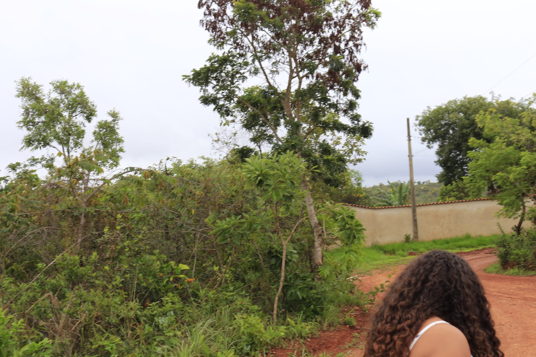 Terreno com 1088 M², Condomínio Canto da Siriema, à venda, Estâncias da Mata, Jaboticatubas, MG Lugar maravilhoso perto da natureza. miniatura 62