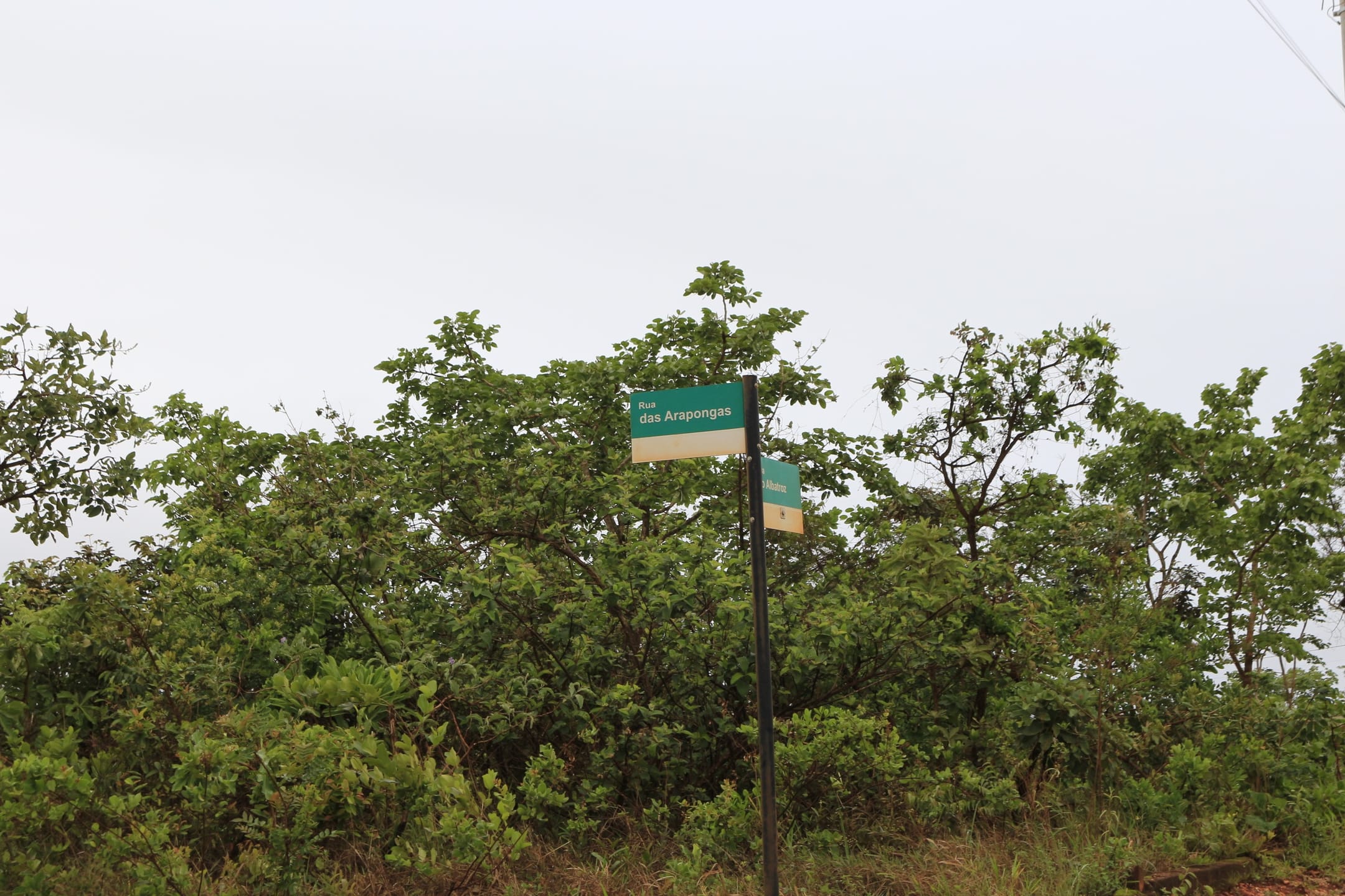 Terreno com 1088 M², Condomínio Canto da Siriema, à venda, Estâncias da Mata, Jaboticatubas, MG Lugar maravilhoso perto da natureza. miniatura 66