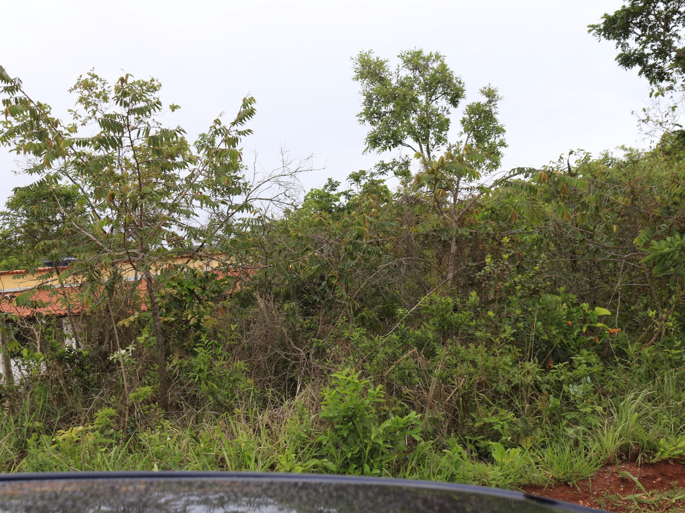 Terreno com 1088 M², Condomínio Canto da Siriema, à venda, Estâncias da Mata, Jaboticatubas, MG Lugar maravilhoso perto da natureza. miniatura 25