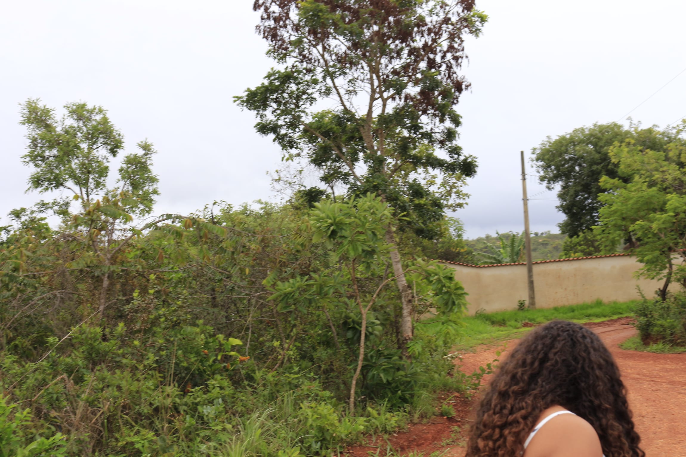 Terreno com 1088 M², Condomínio Canto da Siriema, à venda, Estâncias da Mata, Jaboticatubas, MG Lugar maravilhoso perto da natureza. miniatura 33