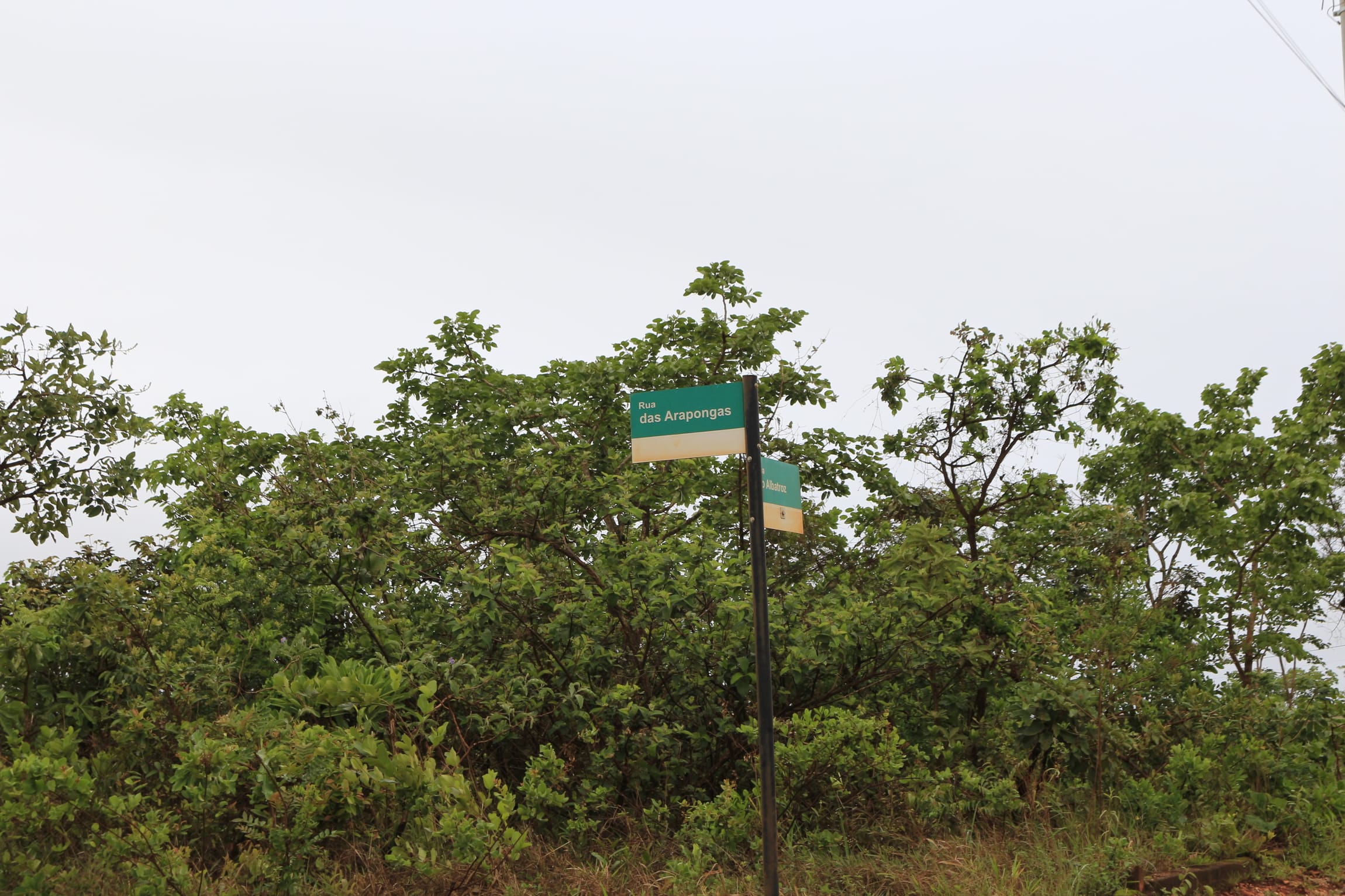 Terreno com 1088 M², Condomínio Canto da Siriema, à venda, Estâncias da Mata, Jaboticatubas, MG Lugar maravilhoso perto da natureza. miniatura 37