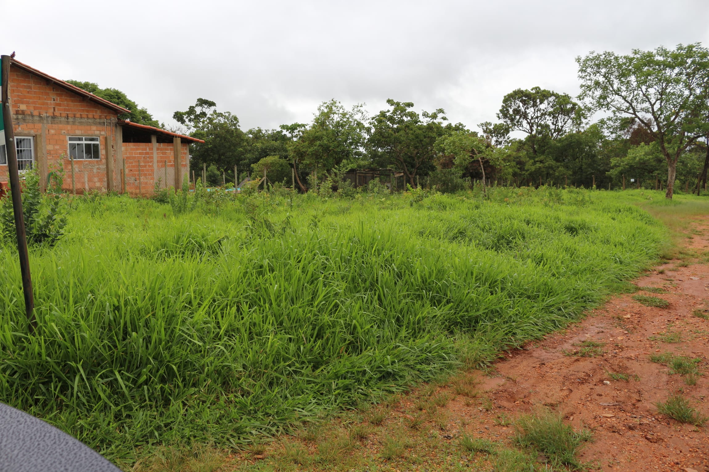 Terreno com 1088 M², Condomínio Canto da Siriema, à venda, Estâncias da Mata, Jaboticatubas, MG Lugar maravilhoso perto da natureza. miniatura 48