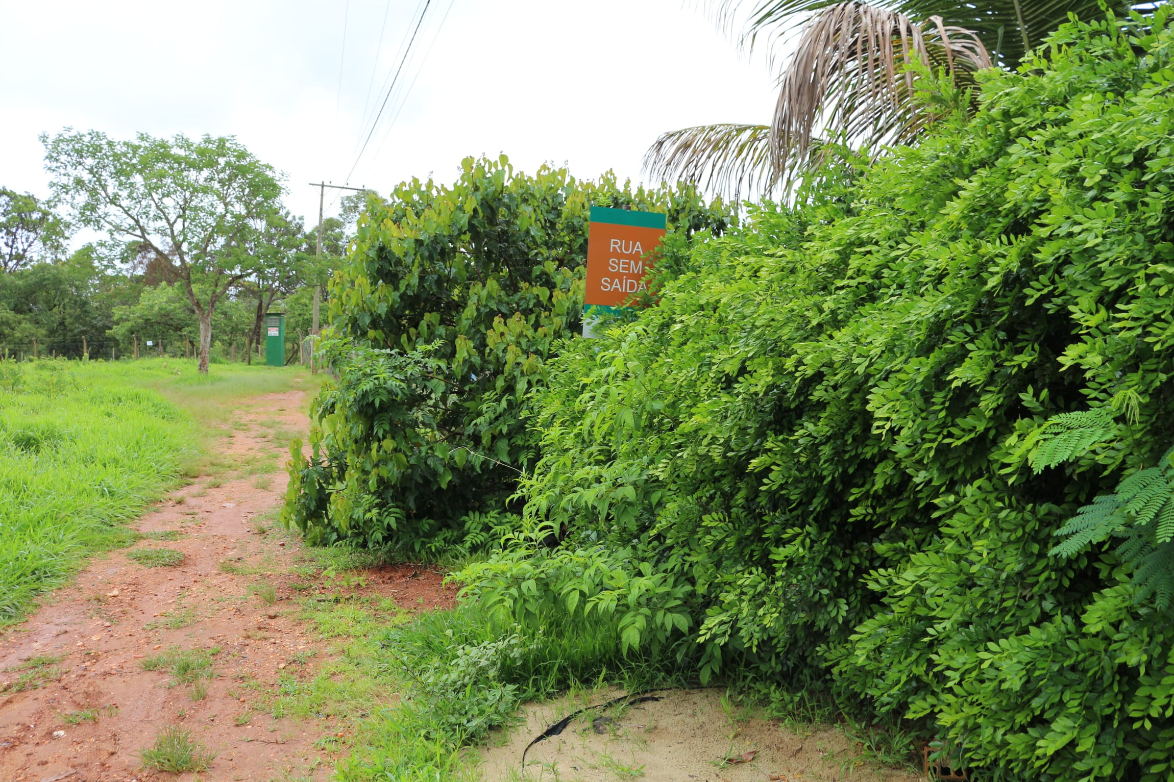 Terreno com 1088 M², Condomínio Canto da Siriema, à venda, Estâncias da Mata, Jaboticatubas, MG Lugar maravilhoso perto da natureza. miniatura 49