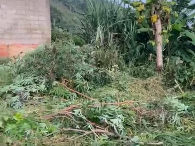Terreno com 258m², à venda, no bairro Edith Lopes em Cambuí