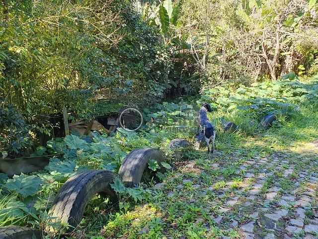 Terreno com 2221m², à venda, no bairro Parque Alvorada em Suzano