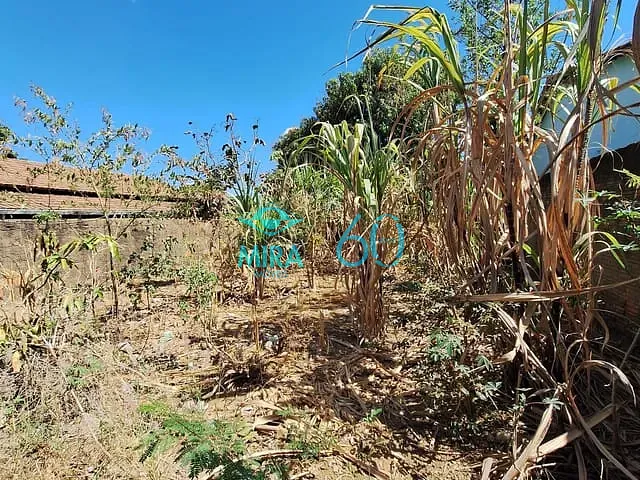 Terreno com 380m², à venda, no bairro Jardim Tropical em Aparecida de Goiânia