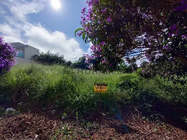 Terreno com 305m², à venda, no bairro Juriti em Piranguinho