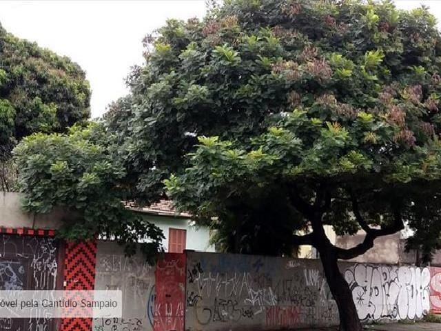 Terreno com 1362m², à venda, no bairro Vila Souza em São Paulo