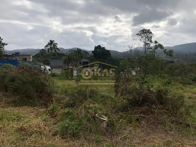 Terreno com 36155m², à venda, no bairro Vila São Pedro em Suzano