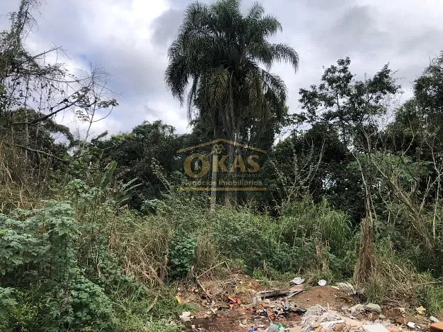 Terreno com 36155m², à venda, no bairro Vila São Pedro em Suzano