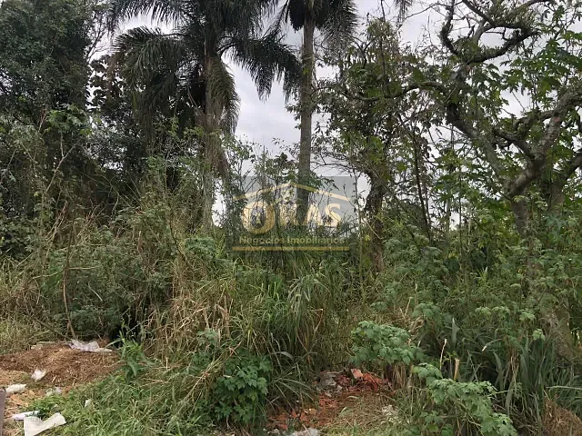 Terreno com 36155m², à venda, no bairro Vila São Pedro em Suzano