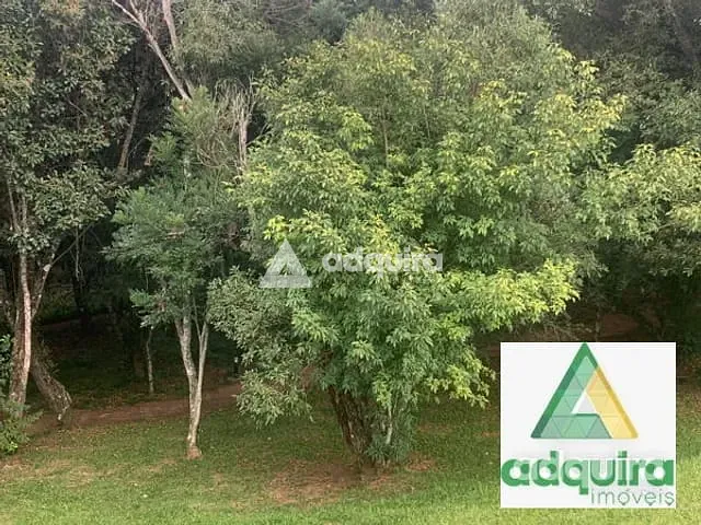 Terreno com 300m², à venda, no bairro Jardim Carvalho em Ponta Grossa