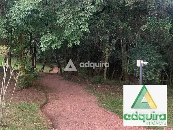 Terreno, 300 m² - Foto 7