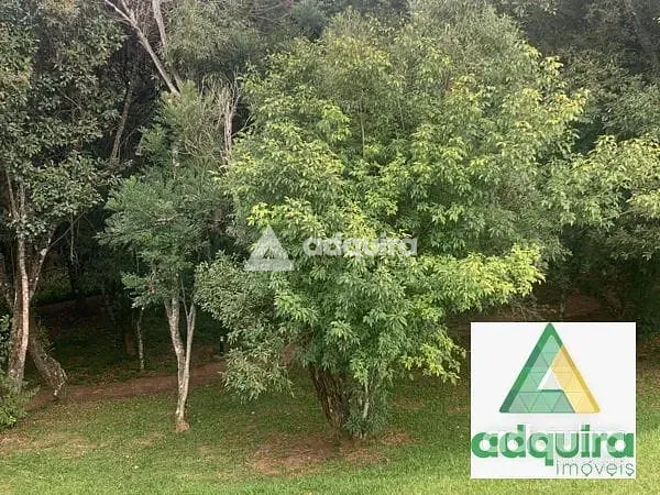 Terreno, 300 m² - Foto 4