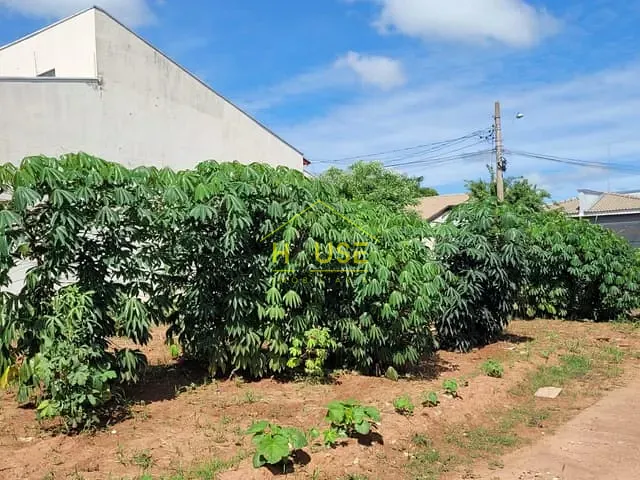 Terreno com 320m², à venda, no bairro Jardim das Palmeiras I em Votuporanga