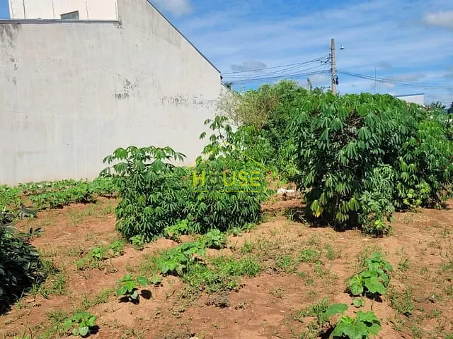 Terreno com 320m², à venda, no bairro Jardim das Palmeiras I em Votuporanga