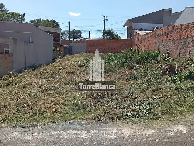 Terreno com 312m², à venda, no bairro Neves em Ponta Grossa