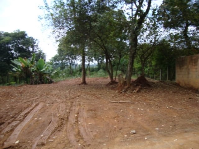 Foto do Terreno - Residencial - Fazendinha | Zequinha Imóveis