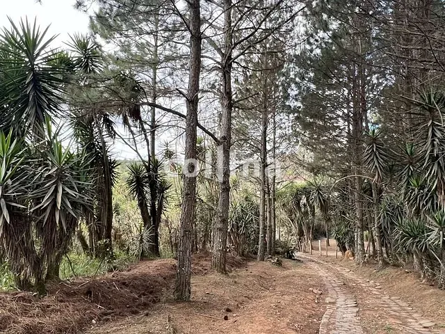 Terreno com 18455m², à venda, no bairro Taboleiro Verde em Cotia