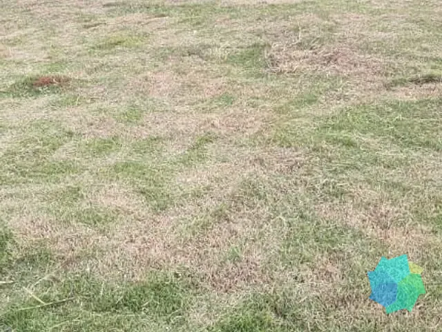 Terreno com 180m², à venda, no bairro Jardim dos Ipês em Salto