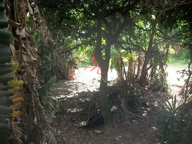 Terreno com 525m², à venda ou para alugar, no bairro Jardim Jussara em São Paulo