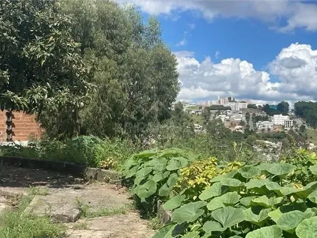Terreno com 360m², à venda, no bairro Jardim Novo Mundo em Poços de Caldas