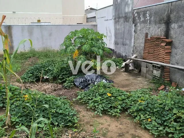 Terreno com 273m², à venda, no bairro Residencial Novo Horizonte em Taubaté