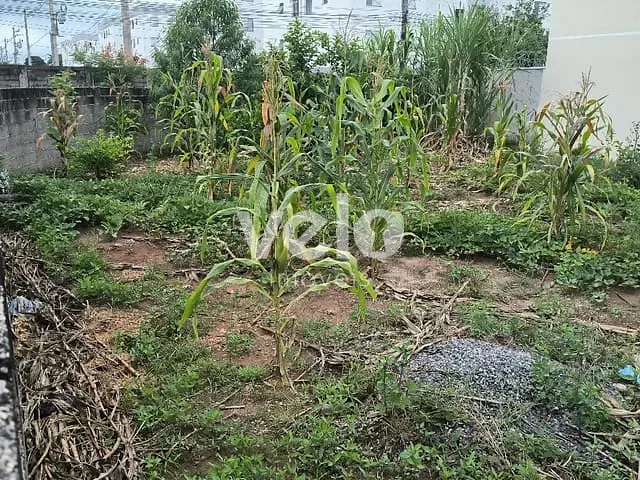 Terreno com 273m², à venda, no bairro Residencial Novo Horizonte em Taubaté