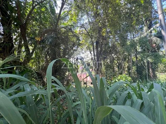 Terreno com 438m², à venda, no bairro Velha em Blumenau