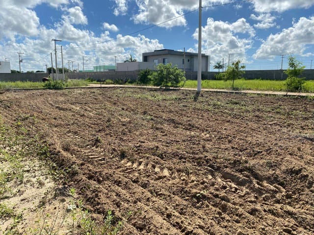 Foto do Terreno - Terreno à venda, São Francisco de Itabapoana, RJ | BBUSINESS