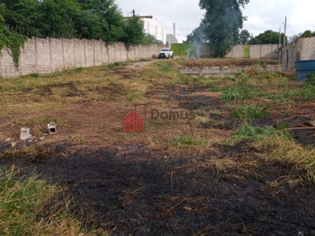 Terreno com 1750m², à venda, no bairro Cidade Nova em Pindamonhangaba