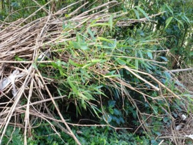 Terreno com 253m², à venda, no bairro Chácara Flora em Petrópolis