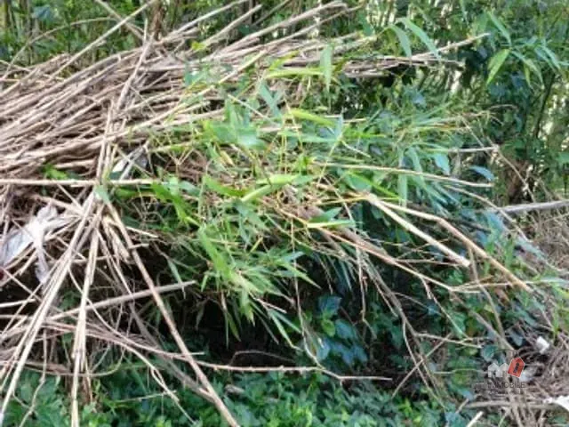 Terreno com 253m², à venda, no bairro Chácara Flora em Petrópolis