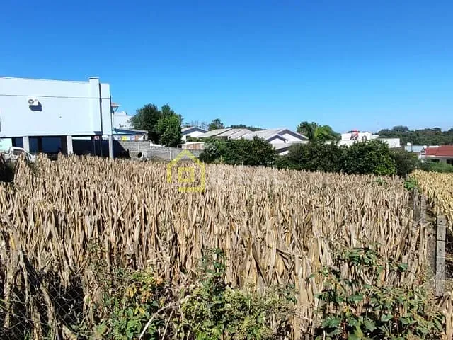 Terreno com 560m², à venda, no bairro Santo Antônio em Concórdia