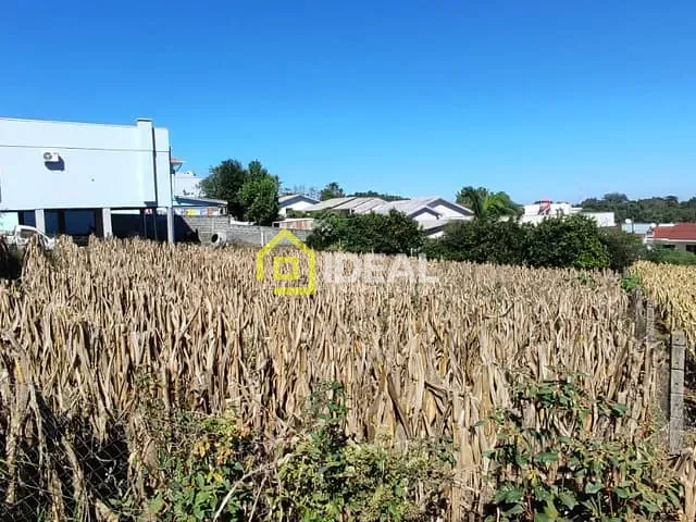 Terreno com 560m², à venda, no bairro Santo Antônio em Concórdia