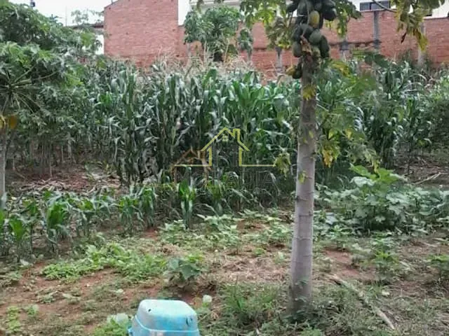 Terreno com 870m², à venda, no bairro Centro em Tapiratiba