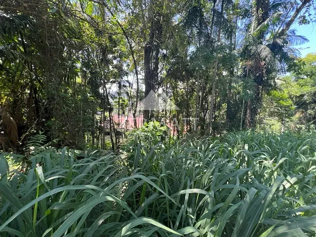 Terreno com 543m², à venda, no bairro Velha em Blumenau