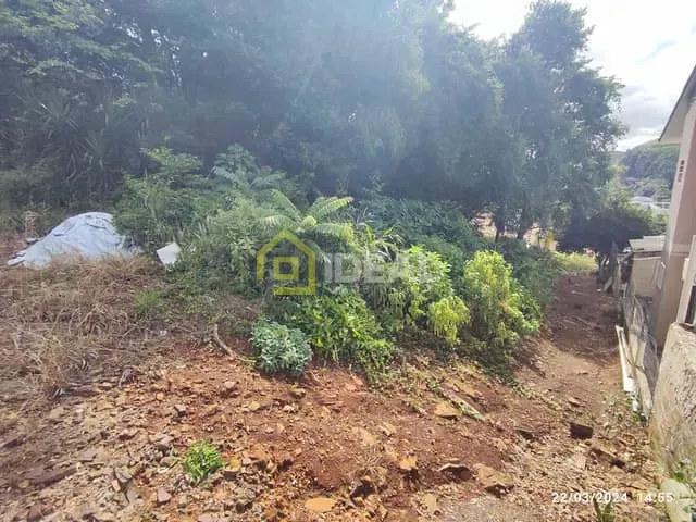 Terreno com 452m², à venda, no bairro São Cristóvão em Concórdia