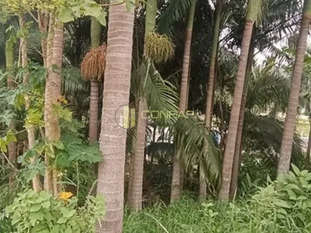 Terreno com 552m², à venda, no bairro Alto São Bento em Itapema