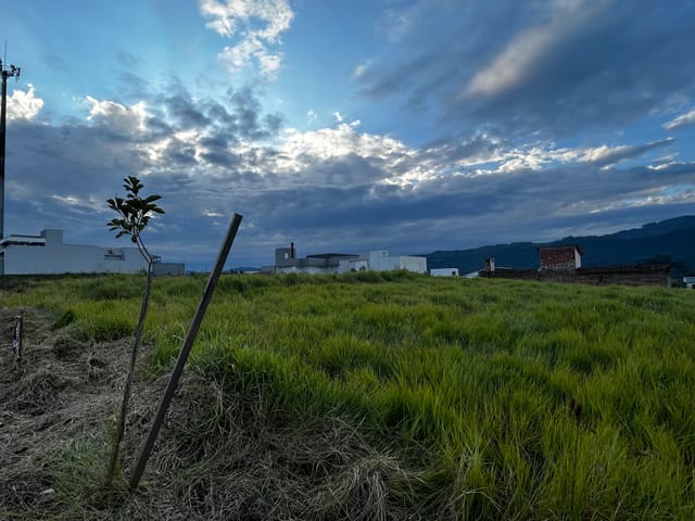 Foto do Terreno - Terreno à venda, São Jacó, Sapiranga, RS | Frassão Negócios