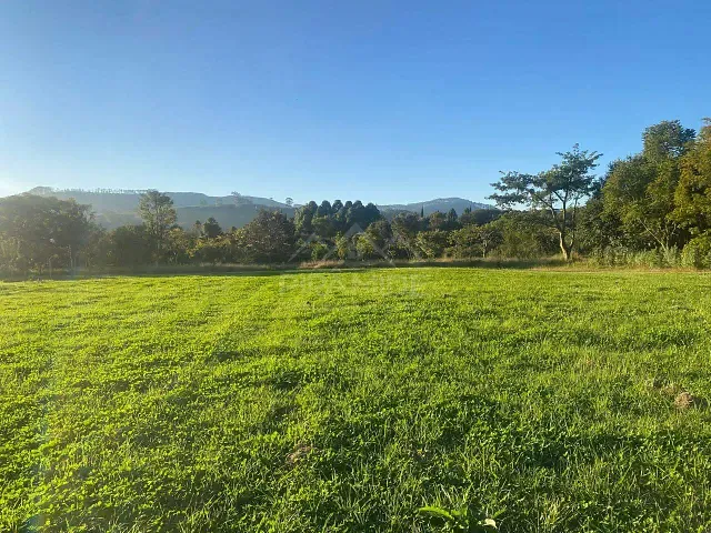 Terreno com 2850m², à venda, no bairro Residencial e Industrial Campo Alegre em Poços de Caldas