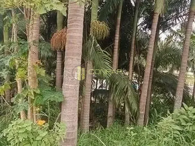 Terreno com 276m², à venda, no bairro Alto São Bento em Itapema