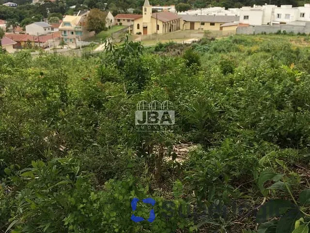 Terreno com 3736m², à venda, no bairro Abranches em Curitiba