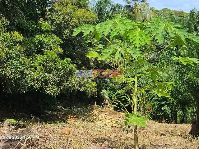 Terreno com 450m², à venda, no bairro Nossa Senhora da Vitória em Ilhéus