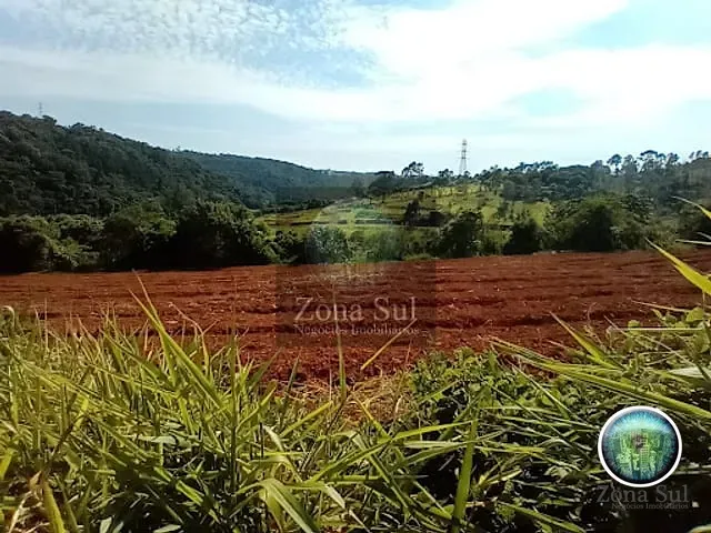 Terreno com 1000m², à venda, no bairro Vila Sao Joao em Piedade