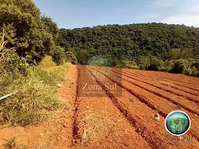 Terreno com 1000m², à venda, no bairro Vila Sao Joao em Piedade