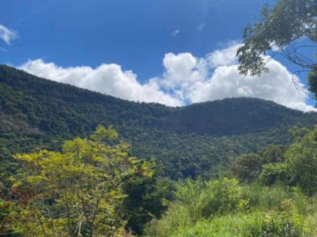 Terreno com 1500m², à venda, no bairro CENTRO em Areal