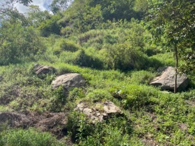 Terreno com 1500m², à venda, no bairro CENTRO em Areal